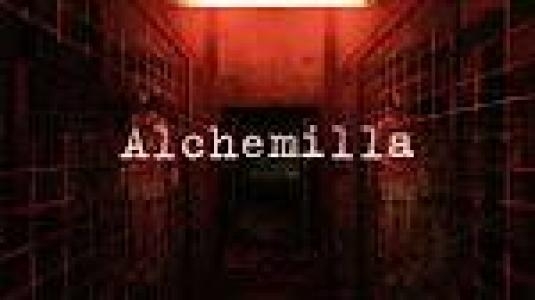 Alchemilla