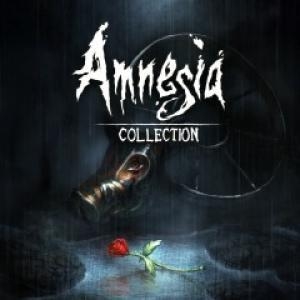 Amnesia: Collection banner