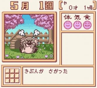 Animal Breeder 3 screenshot