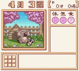 Animal Breeder 3 screenshot