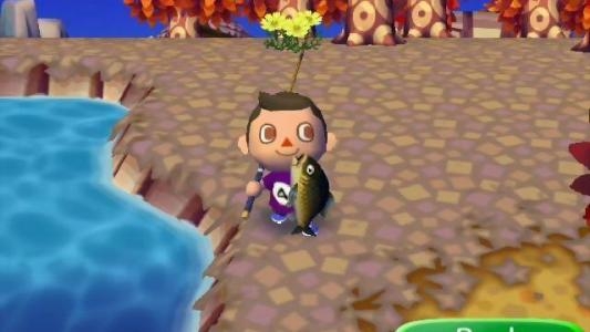 Animal Crossing: City Folk screenshot