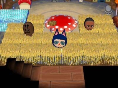 Animal Crossing: City Folk screenshot