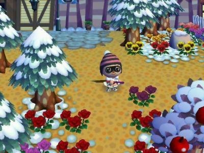 Animal Crossing: City Folk screenshot