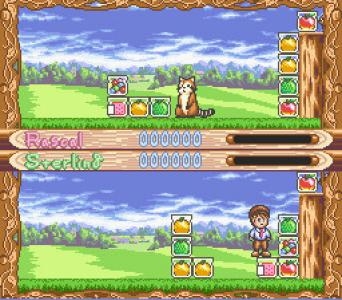 Araiguma Rascal: Raccoon Rascal screenshot