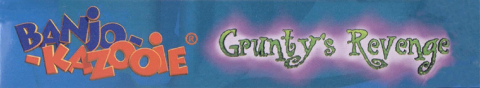 Banjo-Kazooie: Grunty's Revenge banner