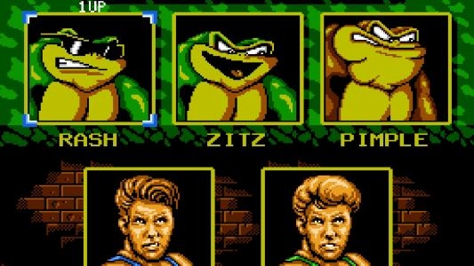 Battletoads and Double Dragon [Collector's Edition] screenshot