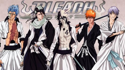 Bleach: The Blade of Fate fanart