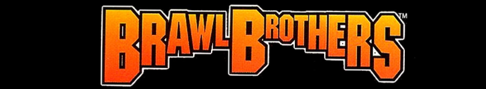 Brawl Brothers banner