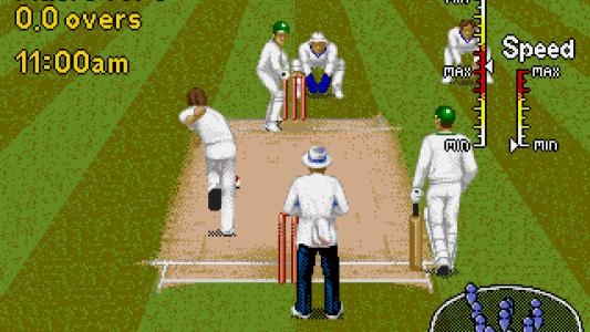 Brian Lara Cricket 96 screenshot