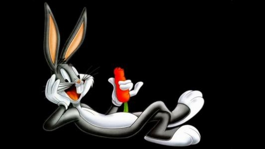 Bugs Bunny Rabbit Rampage fanart