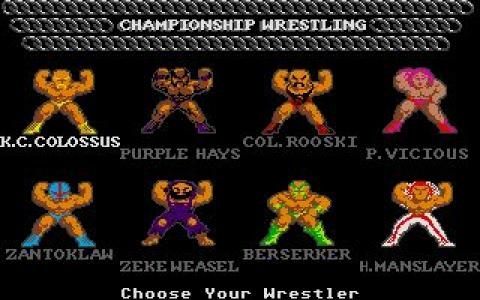 Championship Wrestling screenshot