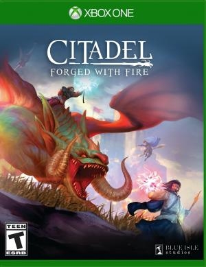 Citadel: Forged with Fire