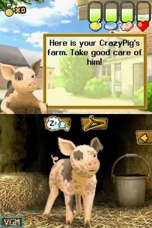 Crazy Pig screenshot