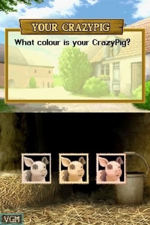 Crazy Pig screenshot