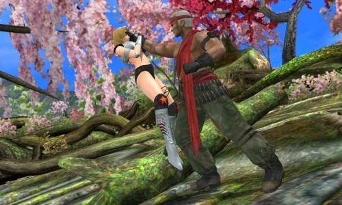 Dead or Alive: Dimensions screenshot