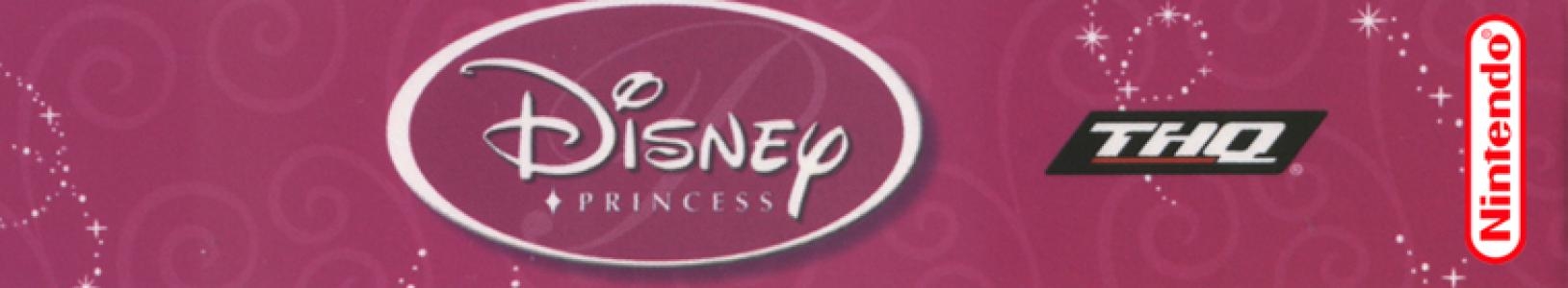 Disney Princess banner