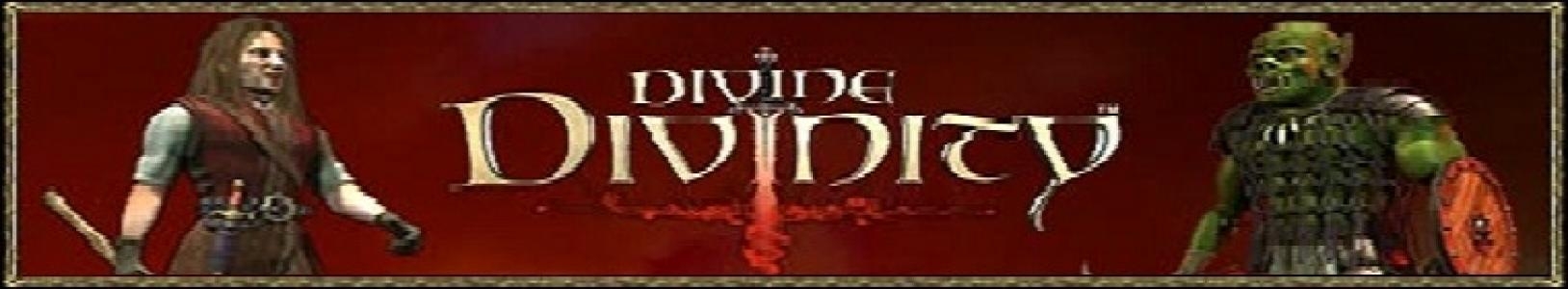 Divine Divinity banner