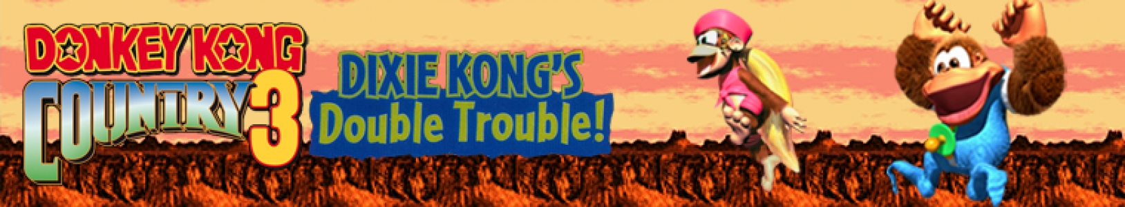 Donkey Kong Country 3: Dixie Kong's Double Trouble! banner