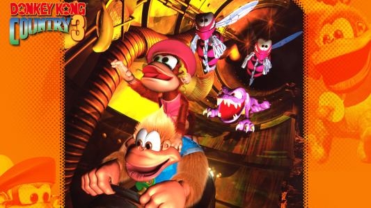 Donkey Kong Country 3: Dixie Kong's Double Trouble! fanart