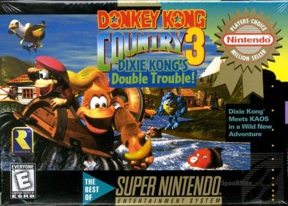 Donkey Kong Country 3 [Player's Choice]