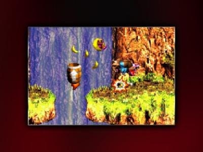 Donkey Kong Country 3 screenshot