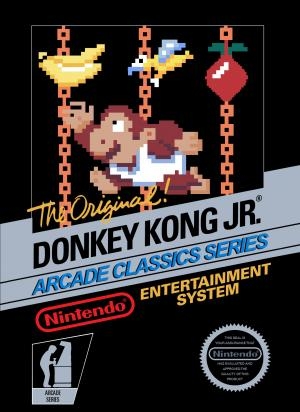 Donkey Kong Jr