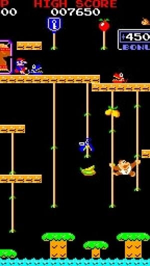 Donkey Kong Jr. screenshot