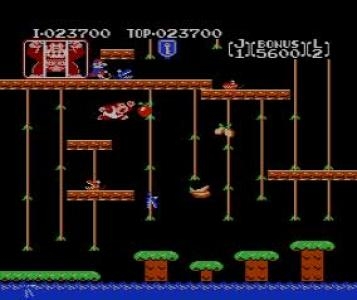 Donkey Kong Jr. (Virtual Console) screenshot