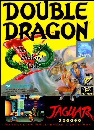 Double Dragon V: The Shadow Falls