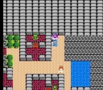 Dragon Warrior II screenshot