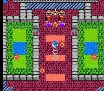 Dragon Warrior II screenshot