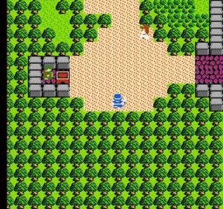 Dragon Warrior II screenshot