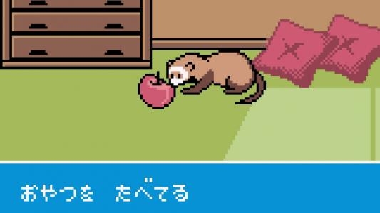 Ferret Monogatari: Watashi no Okiniiri screenshot