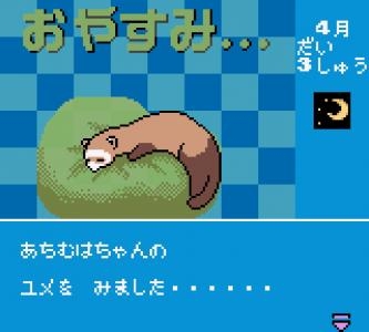 Ferret Monogatari: Watashi no Okiniiri screenshot