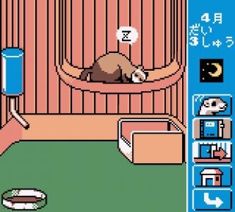 Ferret Monogatari: Watashi no Okiniiri screenshot