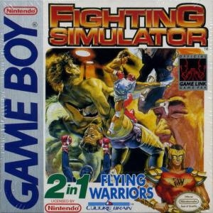 Fighting Simulator: 2-in-1 Flying Warriors