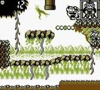 Game & Watch Gallery 3 screenshot