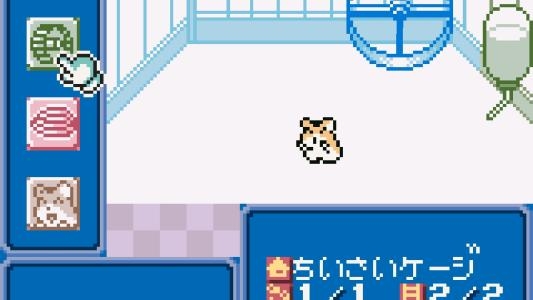 Hamster Club screenshot