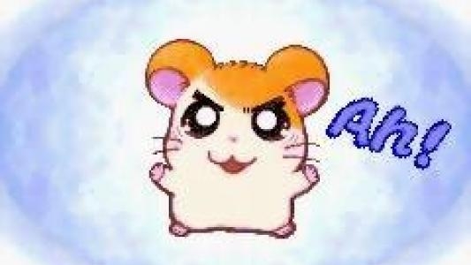 Hamtaro: Ham-Ham Heartbreak screenshot