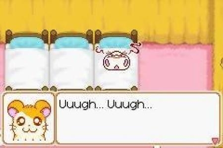 Hamtaro: Ham-Ham Heartbreak screenshot