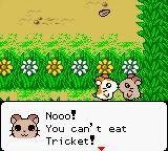 Hamtaro: Ham-Hams Unite! screenshot