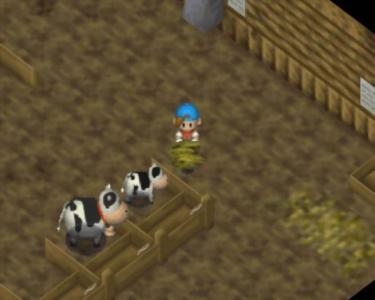 Harvest Moon 64 screenshot