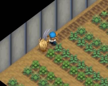 Harvest Moon 64 screenshot