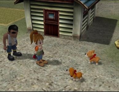 Harvest Moon: Another Wonderful Life screenshot