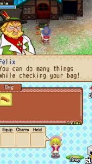 Harvest Moon DS: Grand Bazaar screenshot