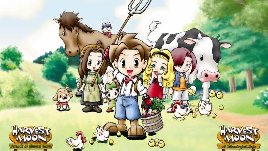 Harvest Moon: Friends of Mineral Town fanart