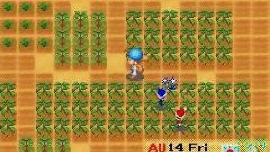 Harvest Moon: Friends of Mineral Town screenshot