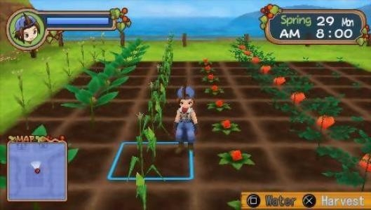 Harvest Moon: Hero of Leaf Valley screenshot