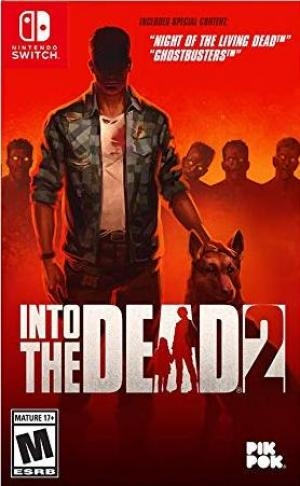 Into The Dead 2