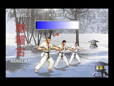 Karate Master Knock Down Blow screenshot